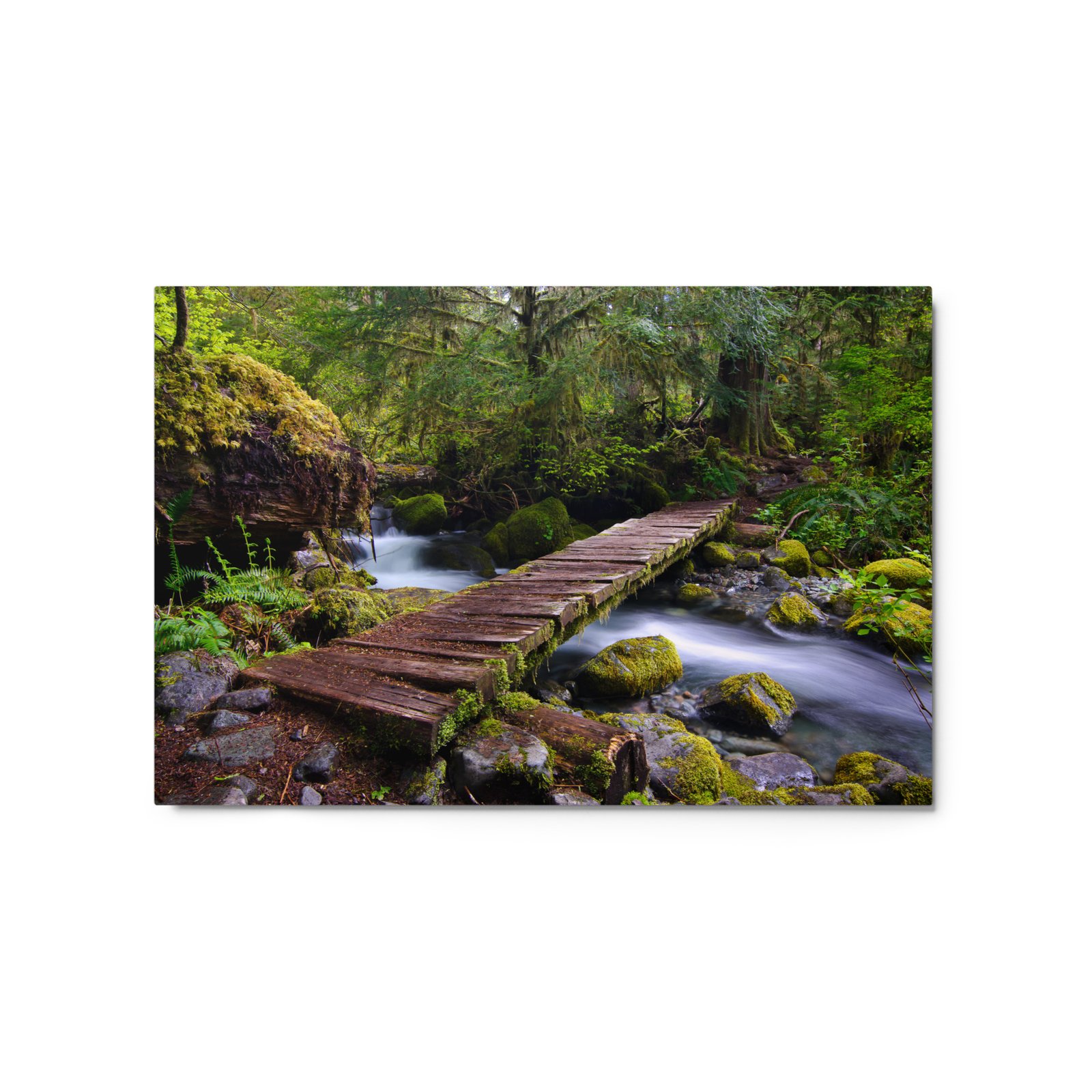 Opal Creek, Oregon - Glossy Metal Print - Image 5