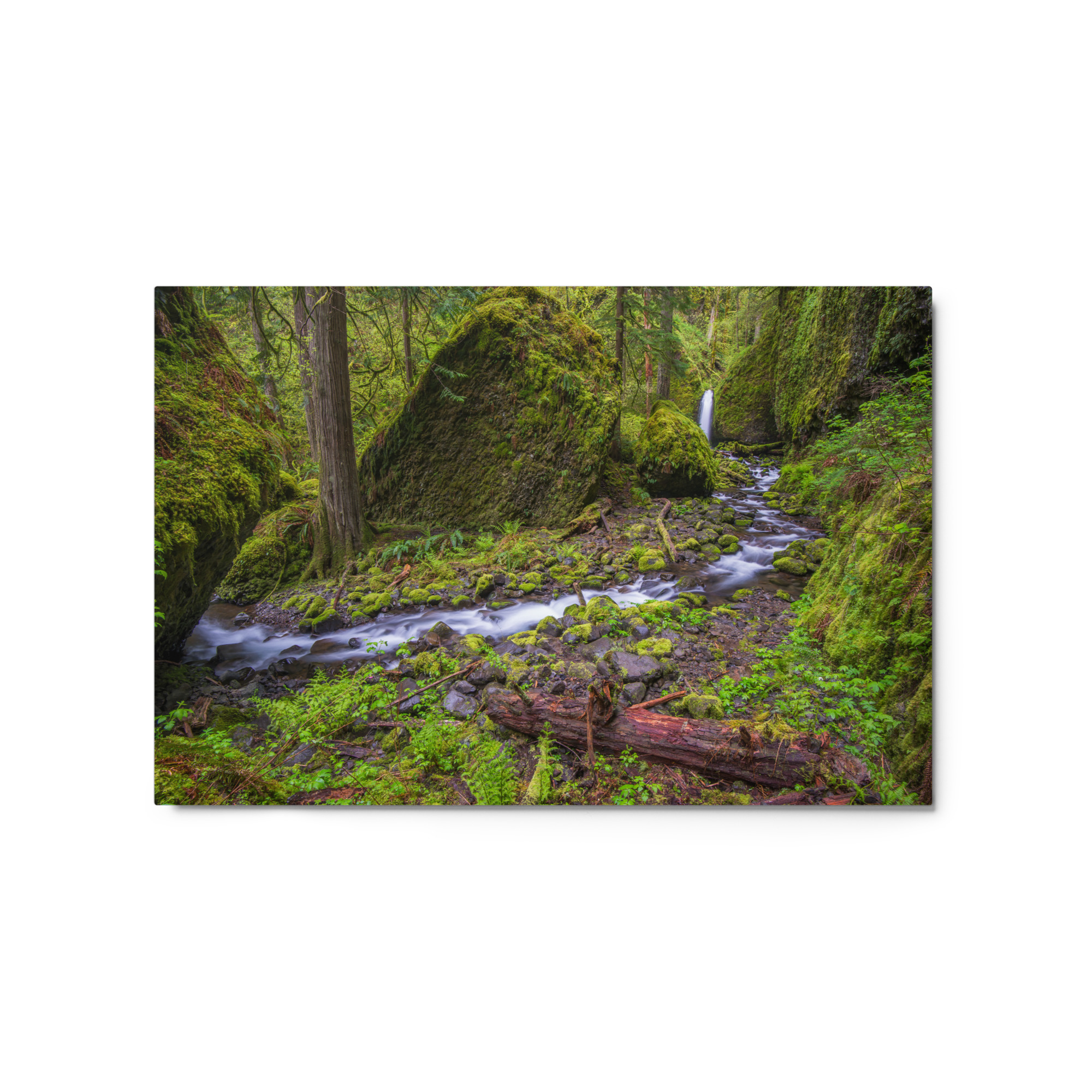 Stream on Mossy Rocks - Glossy Metal Print - Image 5