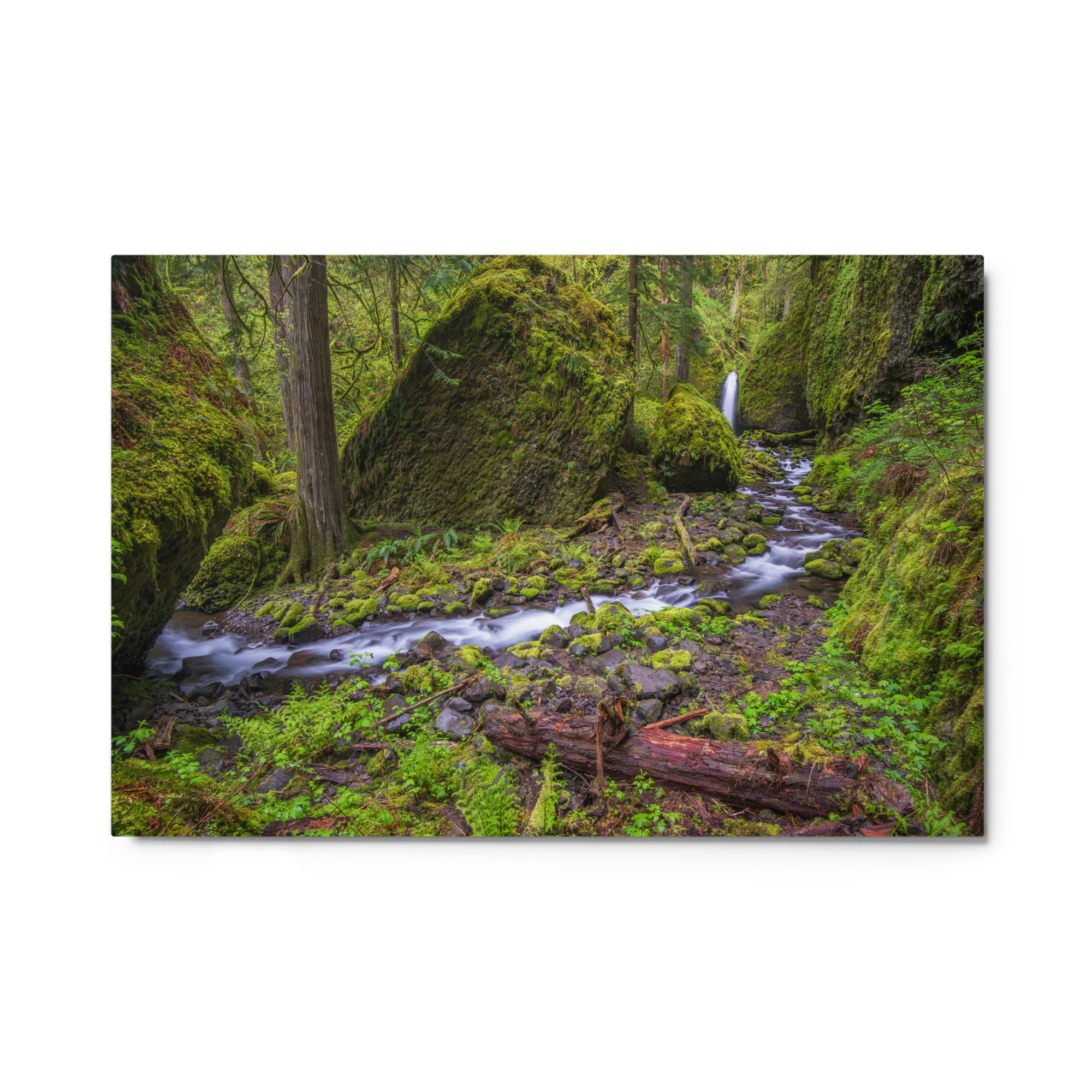 Stream on Mossy Rocks - Glossy Metal Print - Image 6