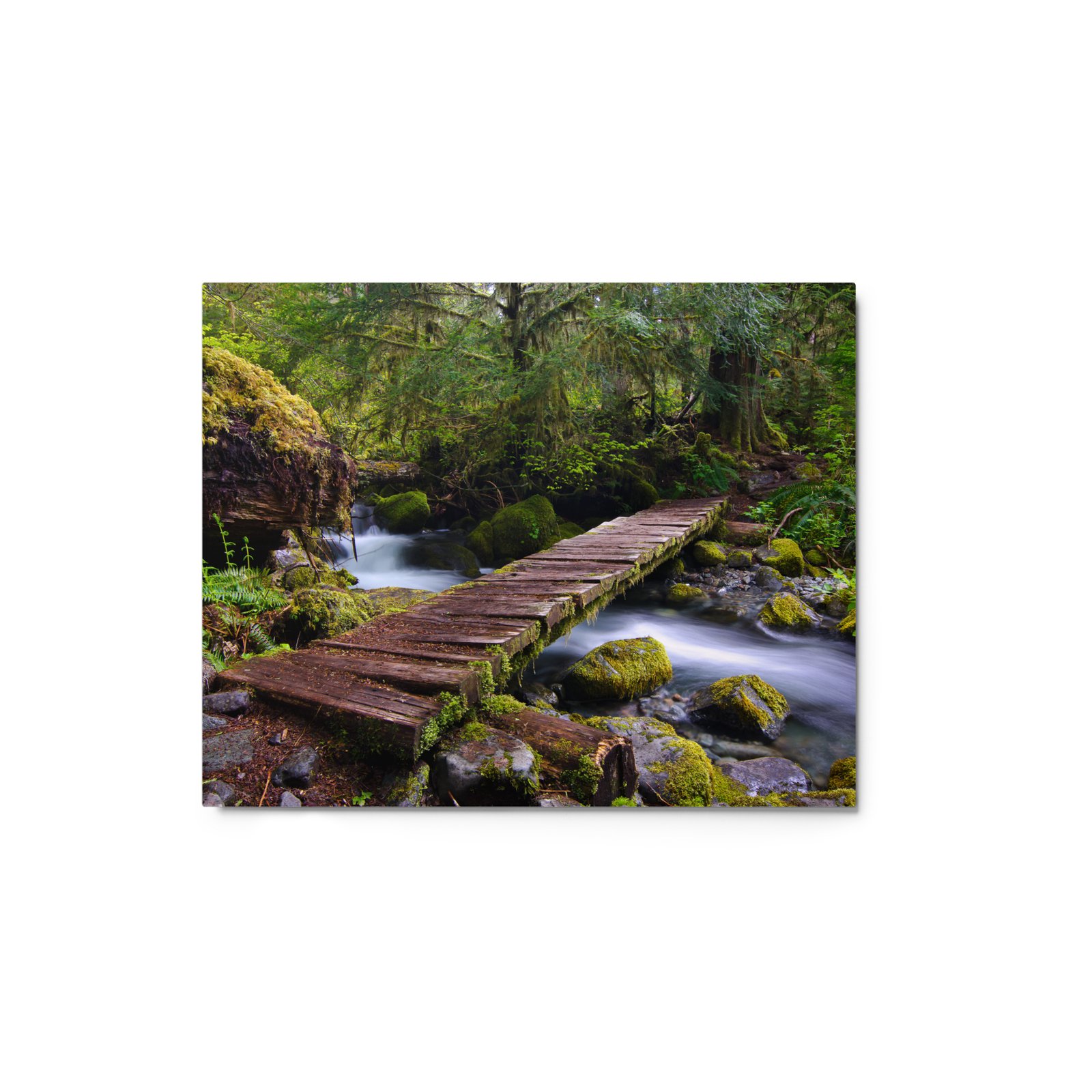 Opal Creek, Oregon - Glossy Metal Print