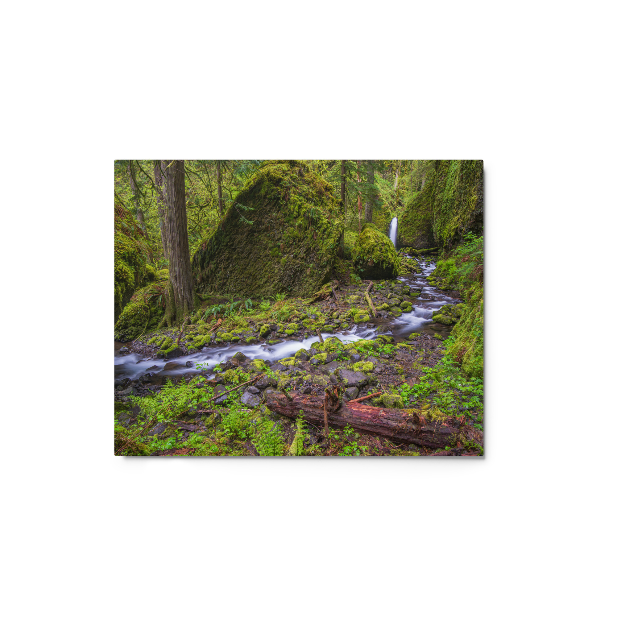Stream on Mossy Rocks - Glossy Metal Print