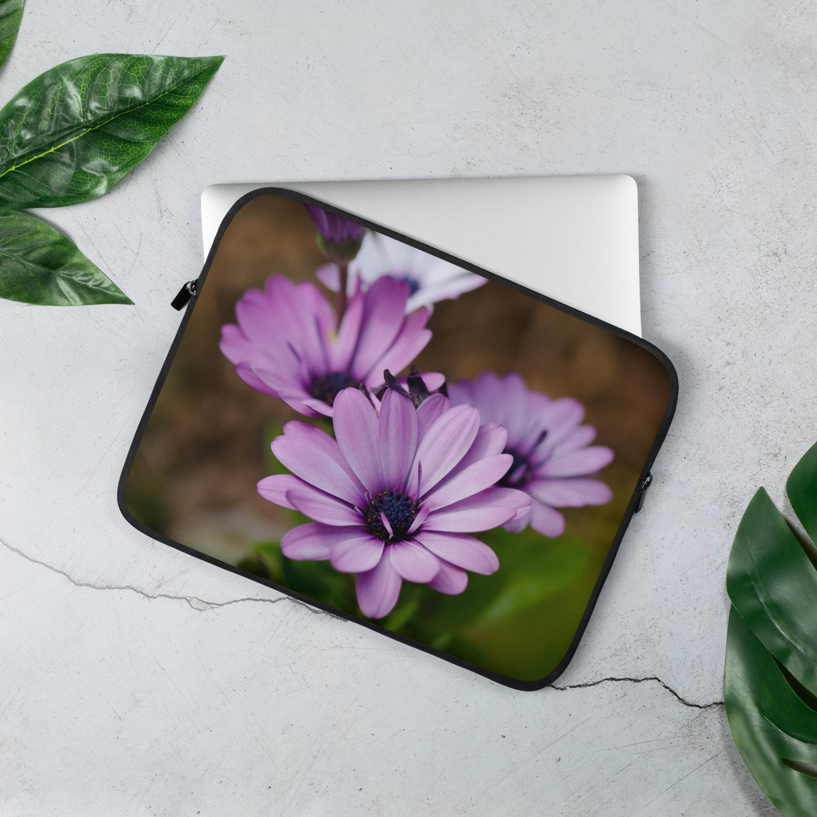 Osteospermum Flower - Laptop Sleeve