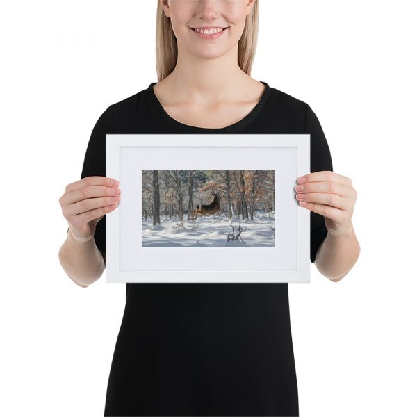Deer in Snow - Matte Paper Framed Poster With Mat (cm) - Image 5