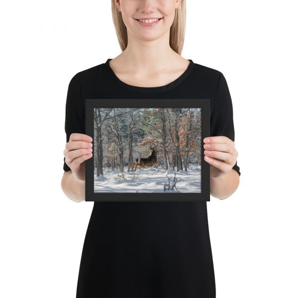 Deer in Snow - Premium Luster Photo Paper Framed Poster (in)